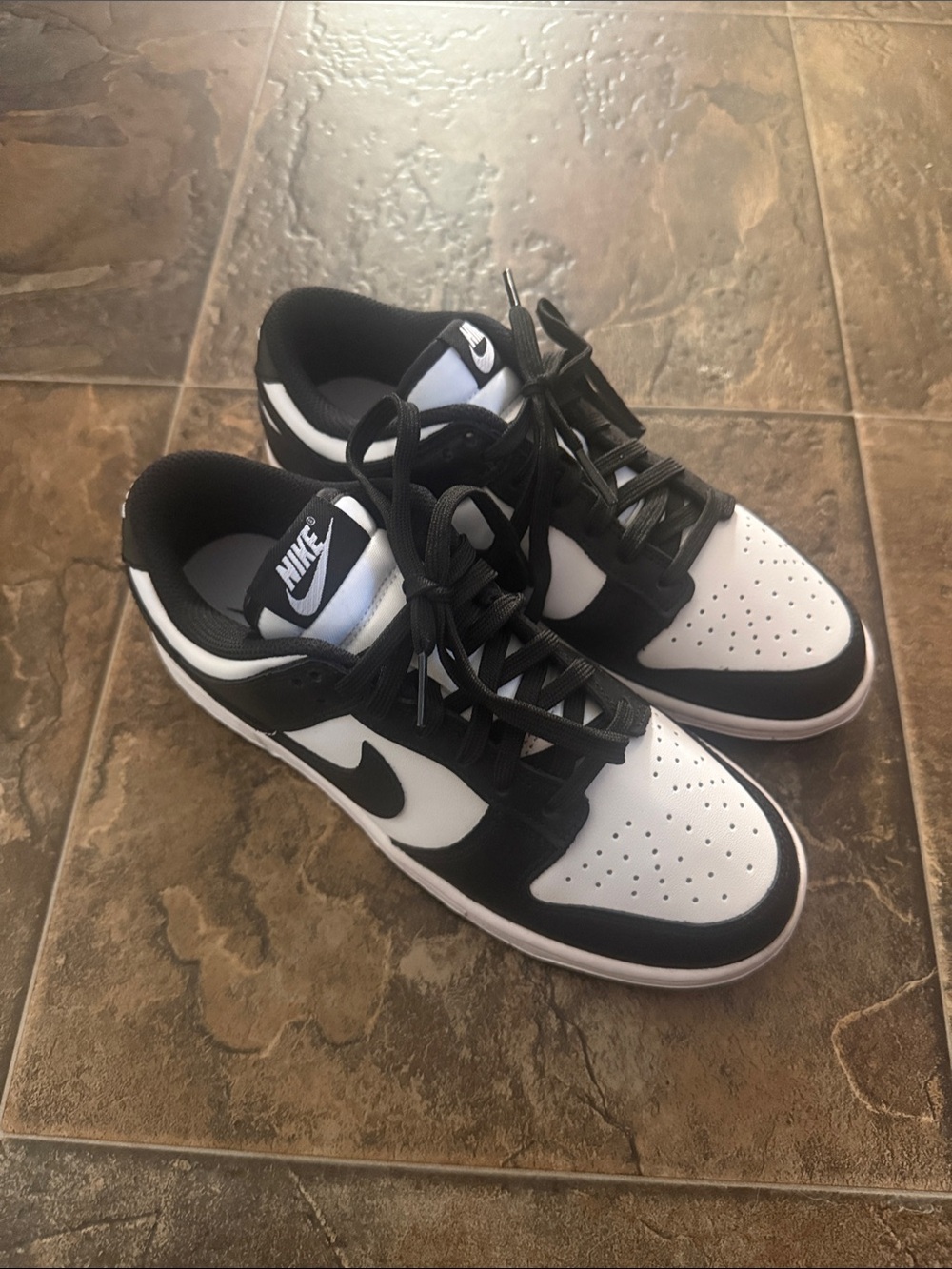 BRAND NEW Nike Dunk Low-Top Sneakers
